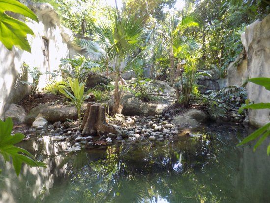 Zoologico Payo Obispo